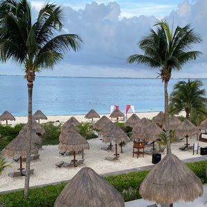 Meet your Posher, Abbey